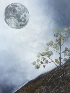 The moon illuminating tree top and rock
