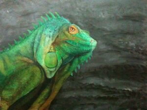 Green iguana looking sideways