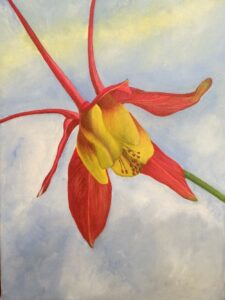 Red and yellow columbine flower