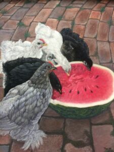 chickens eating a watermelon