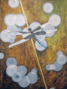 dragon fly among oversized rain droplets