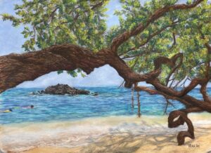 view of ocean and snorkelers under tree from white sand beach