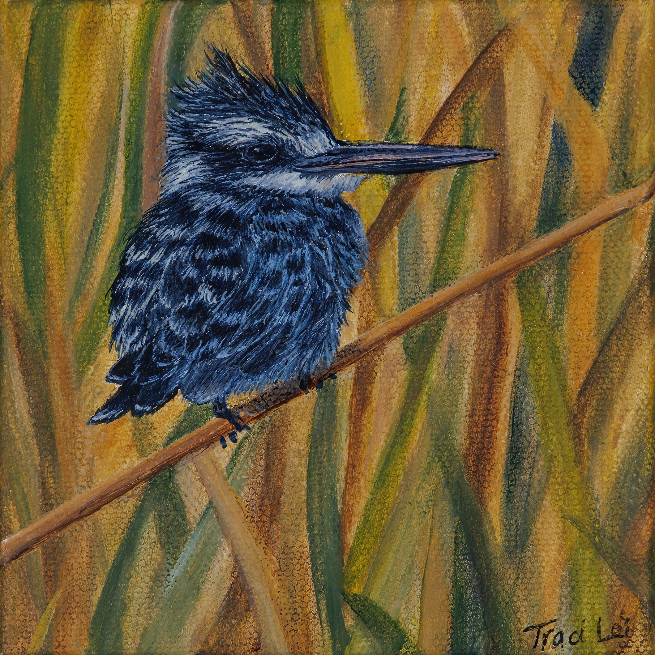African kingfisher posed on a branch